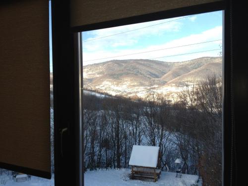 a view of a snowy mountain from a window at Sadyba Ertash in Vyshka
