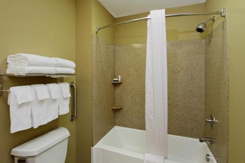 A bathroom at Candlewood Suites Norfolk Airport, an IHG Hotel