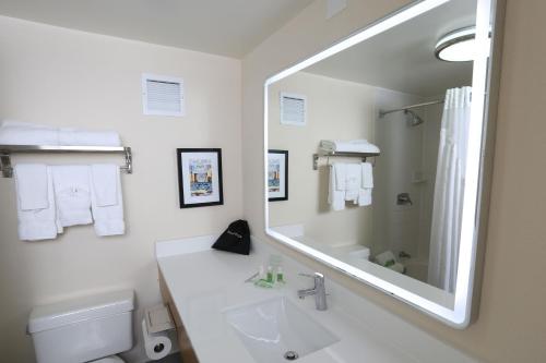 Koupelna v ubytování Holiday Inn Chicago North Shore, an IHG Hotel