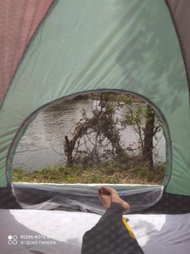 a person in a tent looking through a window at Wilpattu Green Cabin in Achchamulai