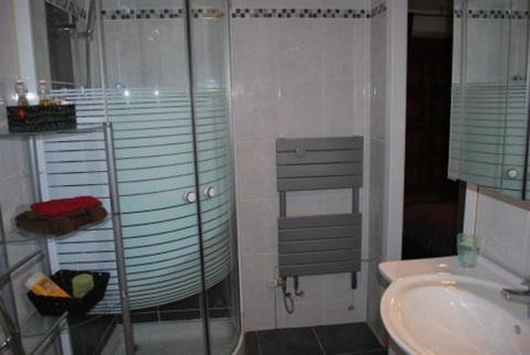 a bathroom with a shower and a sink at Chez Alfred et Régine in Rouffach