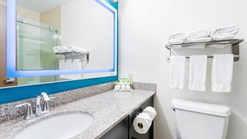 uma casa de banho com um lavatório, um WC e um espelho. em Holiday Inn Express & Suites Wyomissing, an IHG Hotel em West Reading