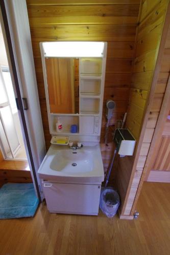 a bathroom with a sink and a mirror at Villa Komakusa in Hakuba