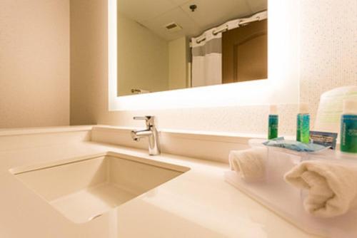 ein Bad mit einem Waschbecken und einem Spiegel in der Unterkunft Holiday Inn Express Hotel & Suites Reading, an IHG Hotel in Reading