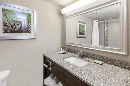 A bathroom at Holiday Inn Hotel & Suites Oklahoma City North, an IHG Hotel