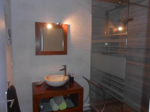 a bathroom with a sink and a shower at CASE BEAOEL in Saint-Gilles les Bains