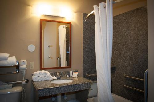 ニューアイビーリアにあるCandlewood Suites New Iberia, an IHG Hotelのバスルーム(洗面台、鏡付)