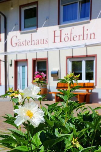 a white flower bush in front of a hotel at Gästehaus Höferlin in Bad Bellingen
