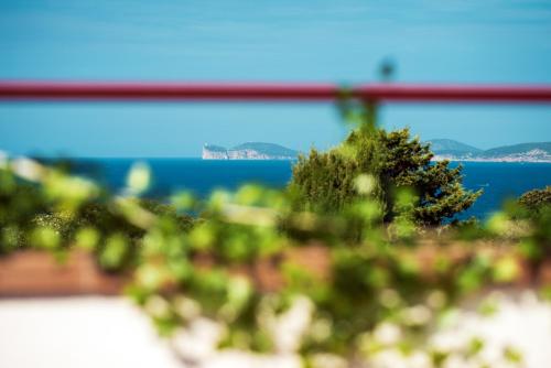 a view of the ocean from a window with trees at Villa Lucia in Alghero