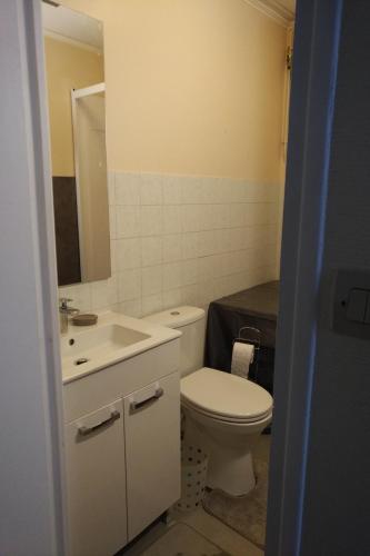 une salle de bain avec des toilettes blanches et un lavabo dans l'établissement Residence du marche, à Jonzac
