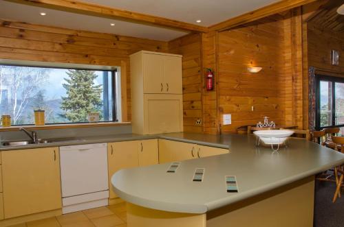 Η κουζίνα ή μικρή κουζίνα στο Alpine on Oregon