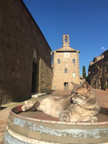 a cat laying on top of a building at Notti Etrusche a Sovana in Sovana
