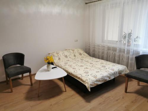 德拉肯恩凱的住宿－Central Apartments Nojus，一间卧室配有一张床、两把椅子和一张桌子