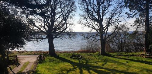 a group of trees in the grass near a body of water at Kiltearn Guest House in Evanton