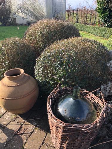 two vases and a basket sitting next to some bushes at Glimminge Bed & Breakfast in Simrishamn