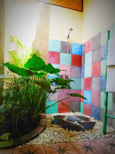 a bathroom with a shower with a plant in it at Kanda Homestay in Sidemen