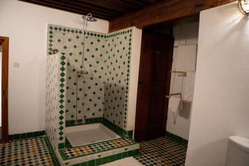 a bathroom with a shower with green and white tiles at Dar Settash in Fès