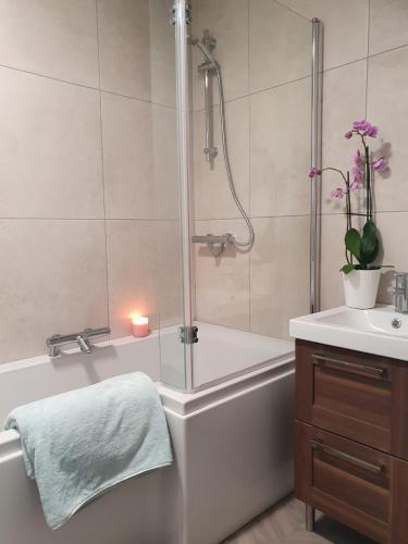 a bathroom with a shower and a tub and a sink at The Plaza Suites High St Bangor in Bangor