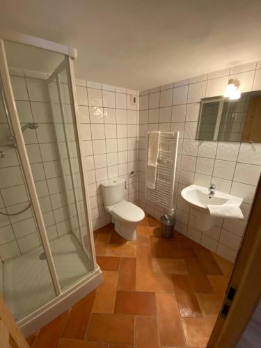 une salle de bain avec toilettes et lavabo dans l'établissement Au calme face au grand paysage, à Essert-Romand