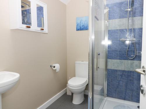 a bathroom with a toilet and a glass shower at Robin's Nest Cottage in Great Driffield