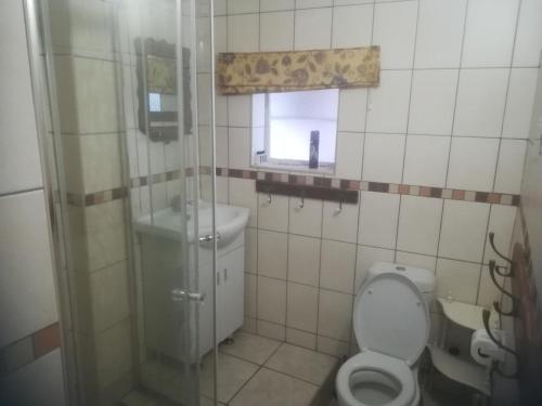 a bathroom with a shower and a toilet and a window at NOU TOE NOU in Tergniet