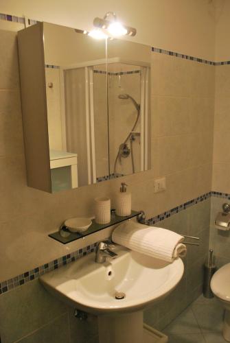 a bathroom with a sink and a mirror and a shower at Bed and Breakfast Bio Salix in Padova