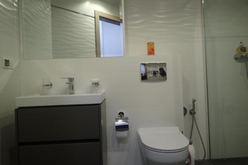 a bathroom with a toilet and a sink and a mirror at Ekskluzywny apartamet Pan Tadeusz III z widokiem na jezioro in Giżycko