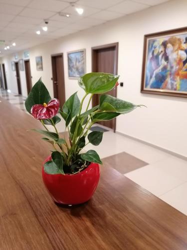 a red vase with a plant on a table at Hotel Lago Peshtera in Peshtera