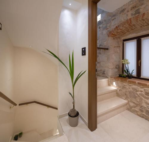 a plant in a pot in a hallway with stairs at Luxury Rooms MA de Dominis in Split