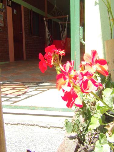 Fotografie z fotogalerie ubytování Hostal Casa Taisha v destinaci Montañita