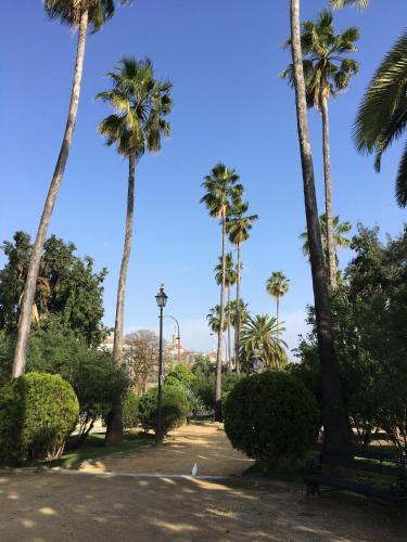 La Terraza Azul