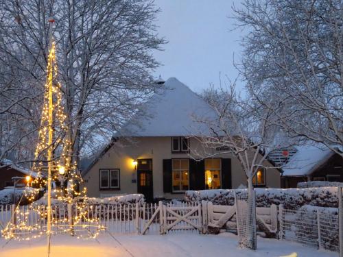 a house decorated with christmas lights in the snow at B&B De Willemshoeve in Wageningen