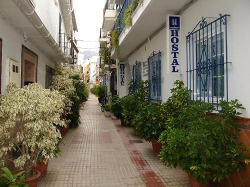 a street with a bunch of plants in front of a building at Hostal San Ramon in Marbella