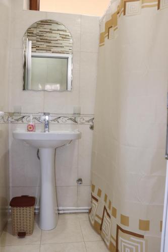 a bathroom with a sink and a mirror at Guest house Nataly in Yeghegnadzor