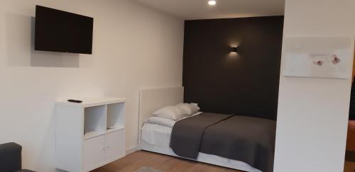 1 dormitorio pequeño con 1 cama y TV en Biliūno studio, en Anykščiai