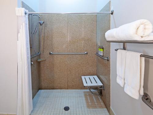 Bathroom sa Holiday Inn Express Hotel and Suites Shreveport South Park Plaza, an IHG Hotel