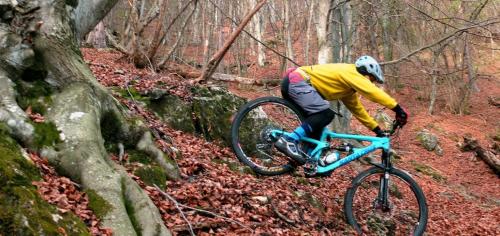 a man riding a bike on a trail in the woods at GrappaLand in Crespano del Grappa