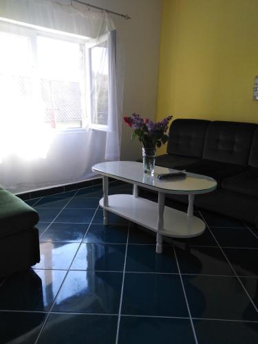 Fotografie z fotogalerie ubytování Apartman Silvana v destinaci Rudnik