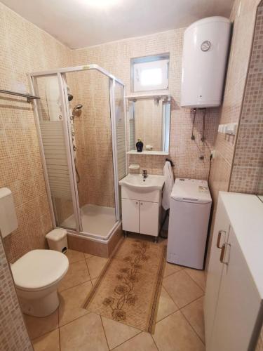 a bathroom with a shower and a toilet and a sink at VILLAGE apartment in Zagvozd