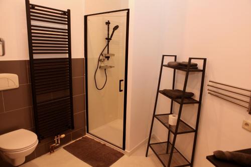 a bathroom with a shower and a toilet at B&B Allegra Nova in Ghent