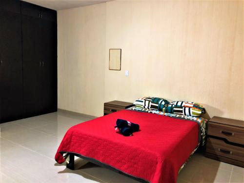 una cama roja con un gato negro sentado en una manta roja en Hotel Morelia In en Morelia