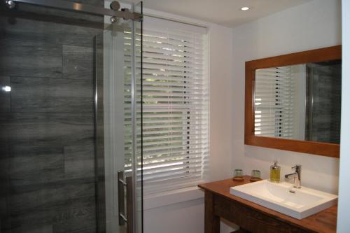 a bathroom with a shower and a sink and a mirror at Restaurant et Gite Les Passionnés in Val-David