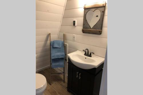 a bathroom with a sink and a mirror and a toilet at Amazing Loft on Horse Ranch in Pilot Hill