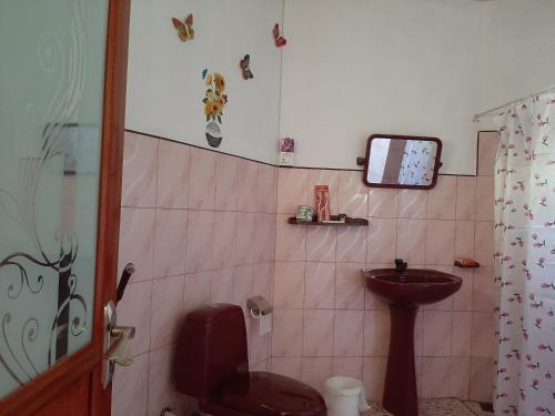 a bathroom with a toilet and a sink and a tv at Lalanga Homestay in Kandy