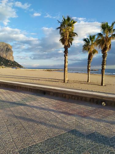 a row of palm trees on a beach at Primera Linea de Playa con Garaje in Calpe