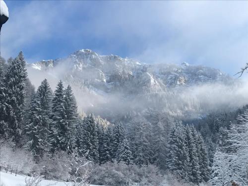 a mountain covered in snow with trees and clouds at Kapriol in Castello Tesino