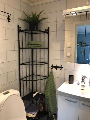 ein Badezimmer mit Toilette, Waschbecken und Spiegel in der Unterkunft Joarsbo, Stuga 2, Gårdsstugan in Kalv