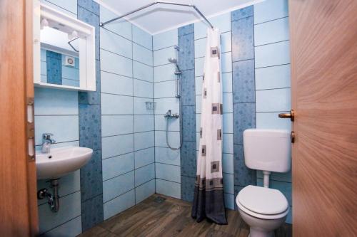 uma casa de banho com um WC e um lavatório em Apartmaji Pri Kozmavo - Little House em Bohinj