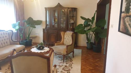 a living room with a cabinet and a table and chairs at Kikinda peace oaza in Kikinda