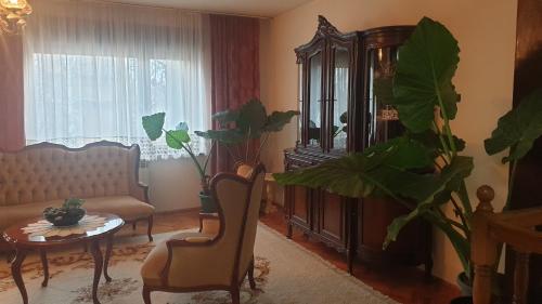 a living room with a couch and a table and a plant at Kikinda peace oaza in Kikinda